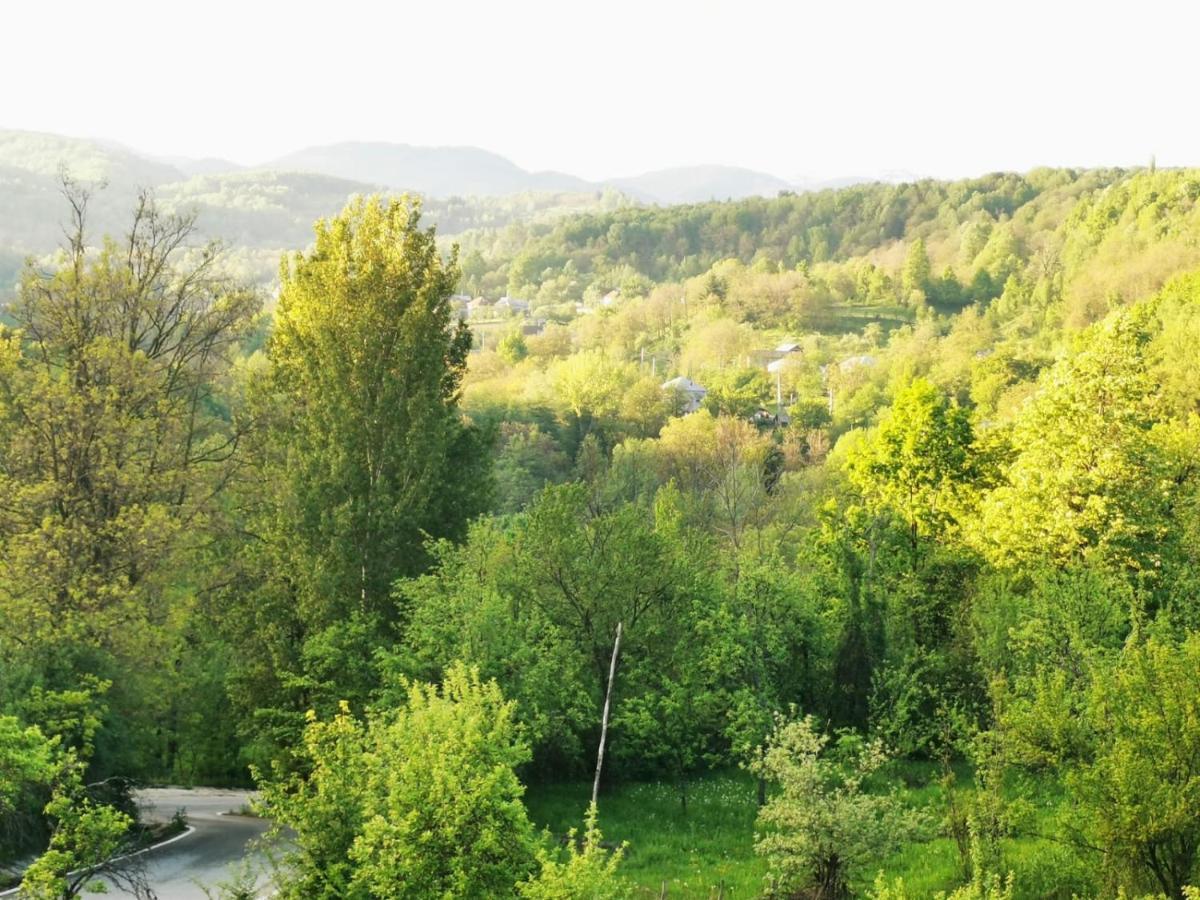 Willa Casuta Din Gradina Horezu Zewnętrze zdjęcie