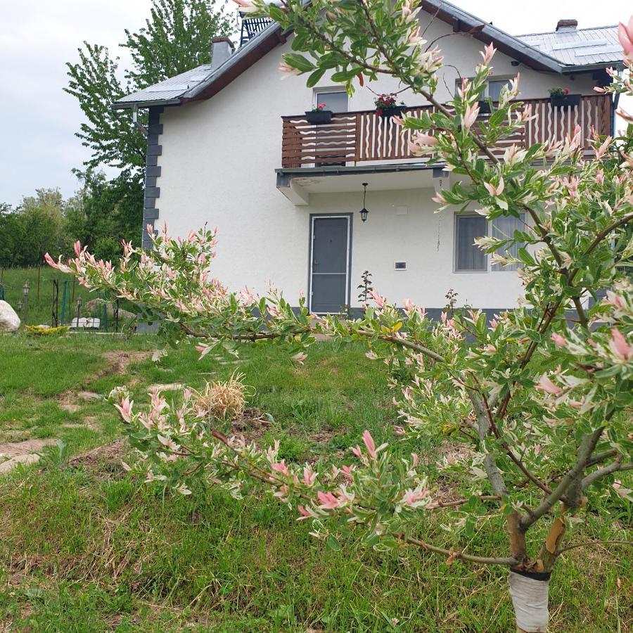 Willa Casuta Din Gradina Horezu Zewnętrze zdjęcie